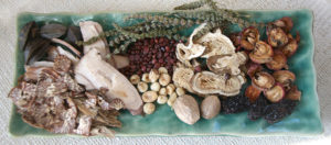 Raw herbs on a tray